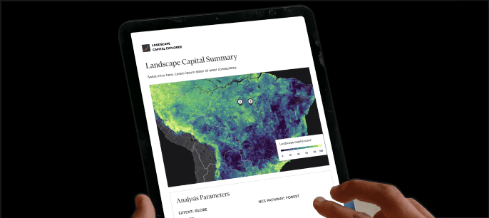 visualizations